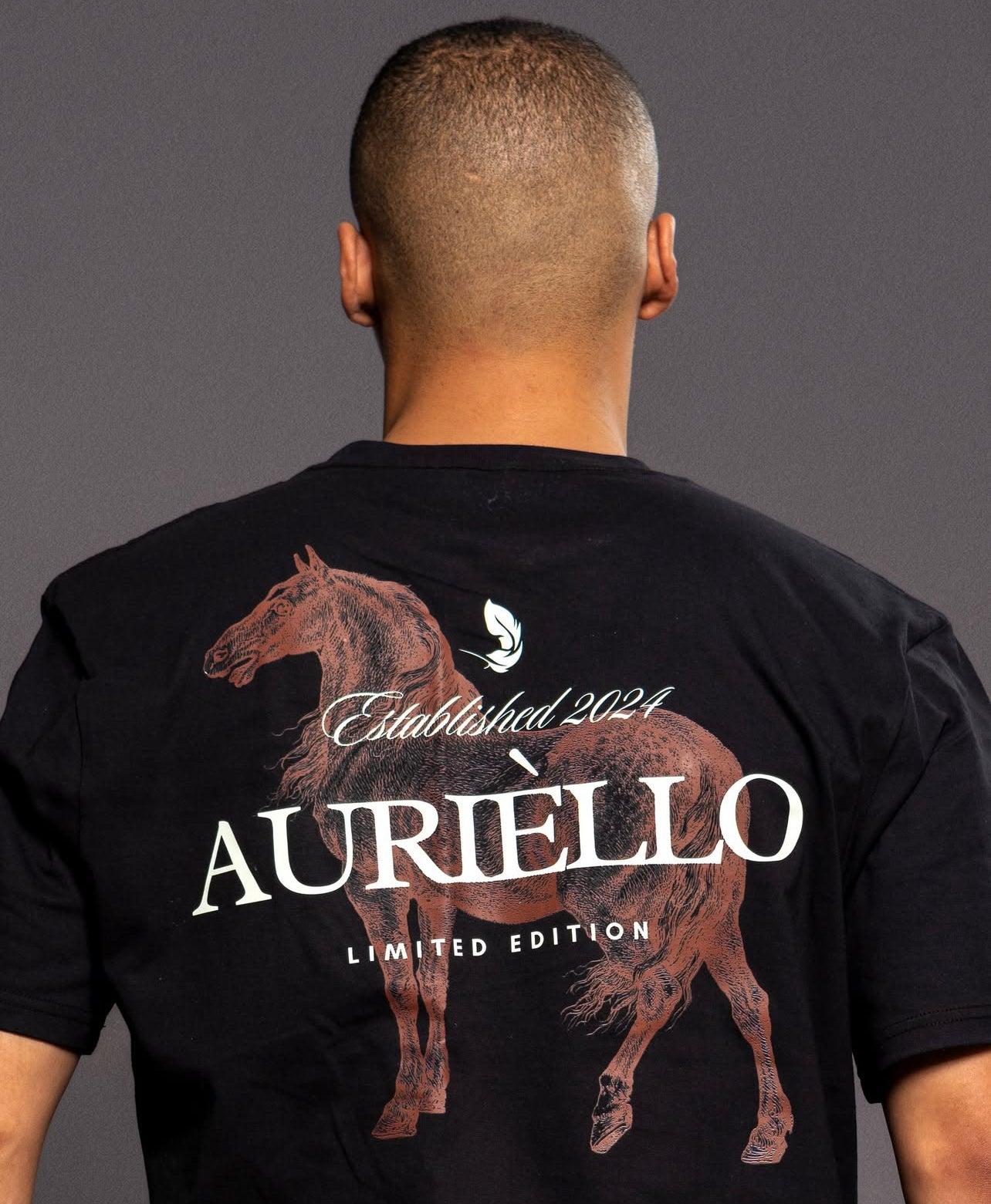AURIÈLLO ESTABLISHMENT YEAR | AW25