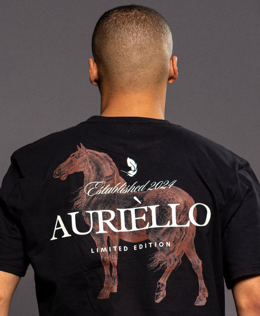 AURIÈLLO ESTABLISHMENT YEAR | AW25